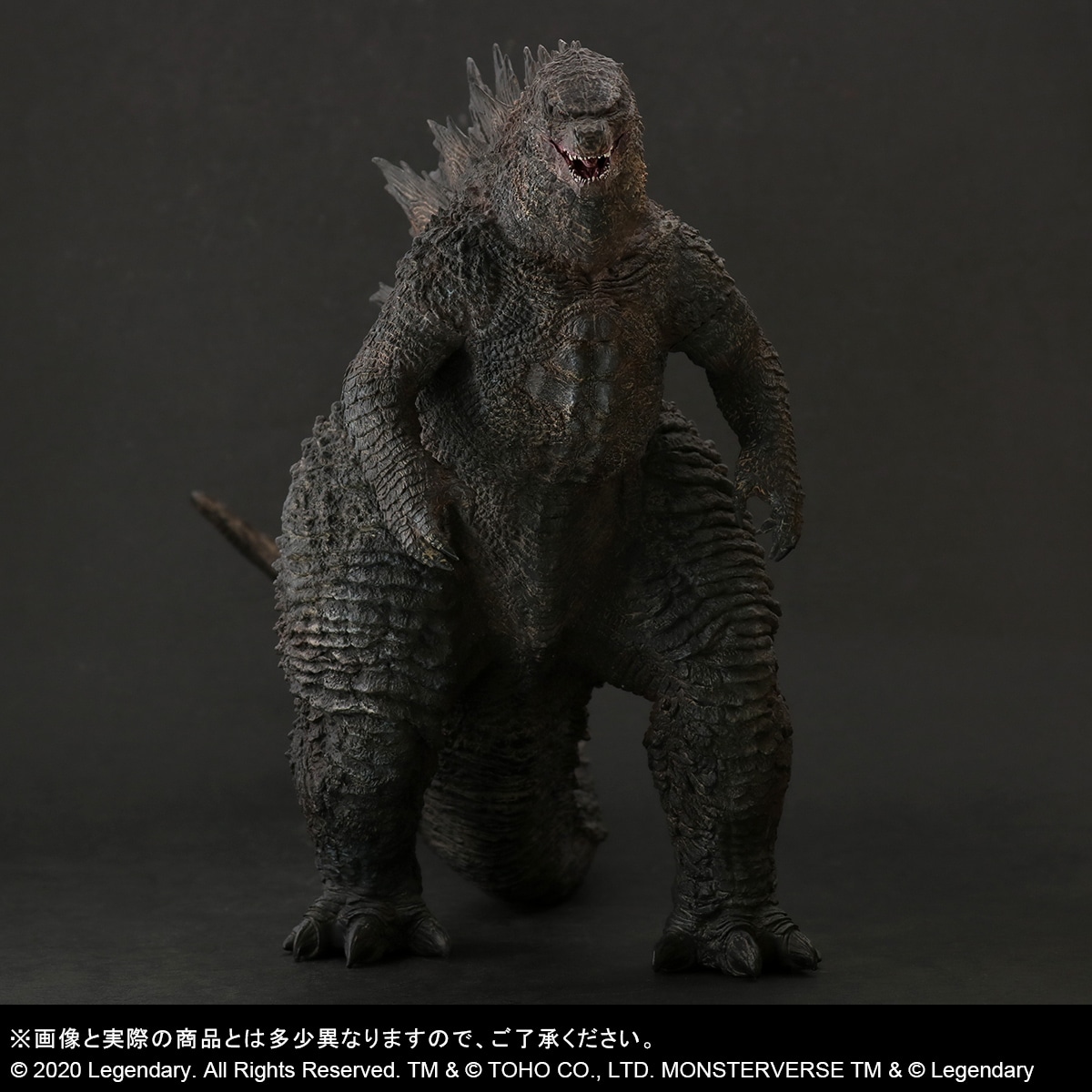 東宝大怪獣シリーズ ゴジラ(2019) 通常版 tic-guinee.net